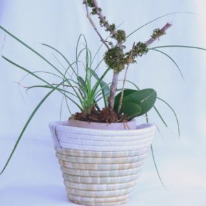 Handwoven plant basket in straw from Tanzania